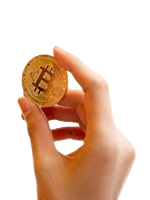 Decorative graphic accent